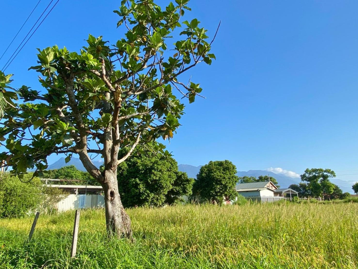 Najima B&B Ji’an Zewnętrze zdjęcie